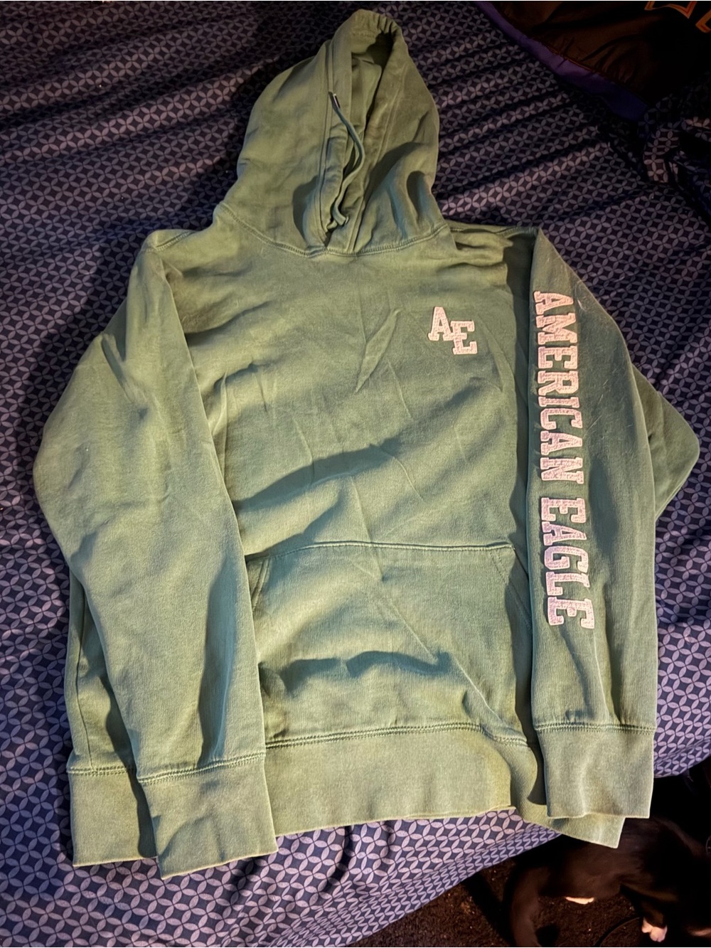American Eagle Outfitters Light Mint Green Pullover Hoodie with Sleeve Logo